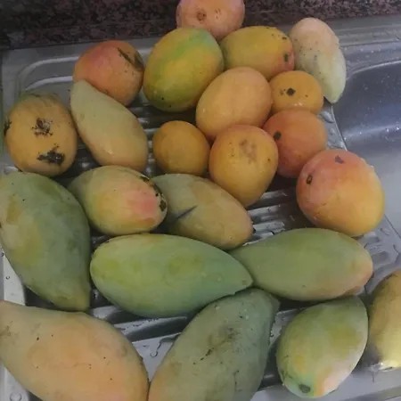 Estrella Del Sur Lajita